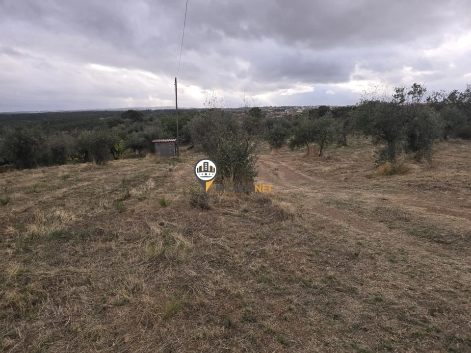 Terreno para Venda em Malpica do Tejo Foto 6