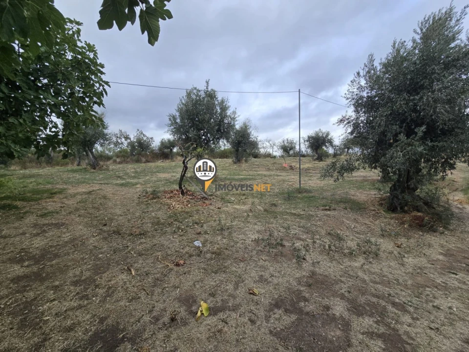 Terreno para Venda em Malpica do Tejo Foto 15