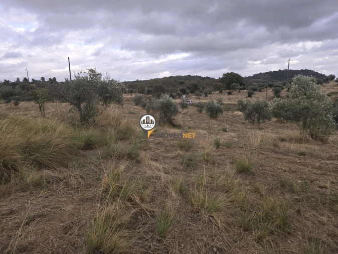 Terreno para Venda em Malpica do Tejo Foto 12