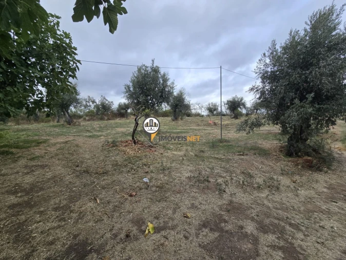 Terreno para Venda em Malpica do Tejo Foto 15