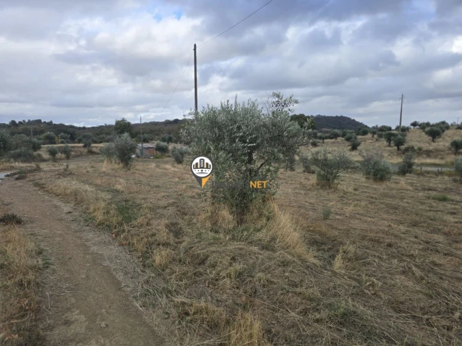 Terreno para Venda em Malpica do Tejo Foto 32