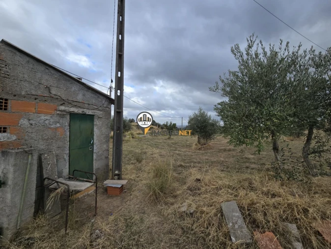 Terreno para Venda em Malpica do Tejo Foto 23