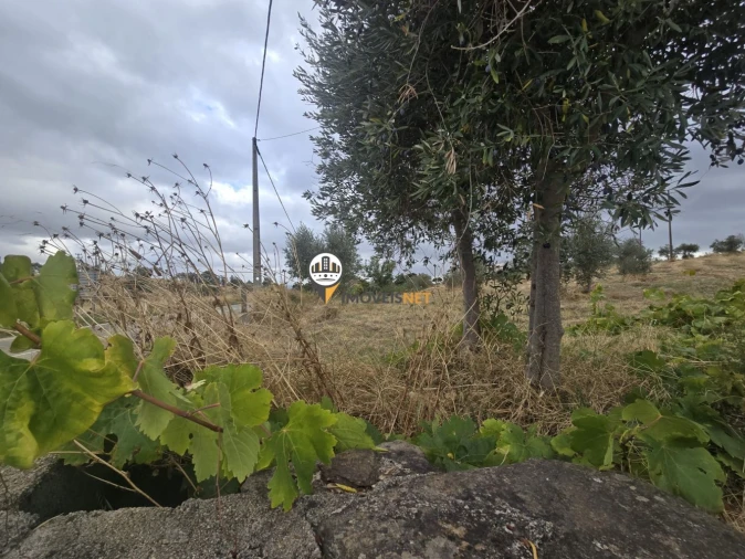 Terreno para Venda em Malpica do Tejo Foto 22