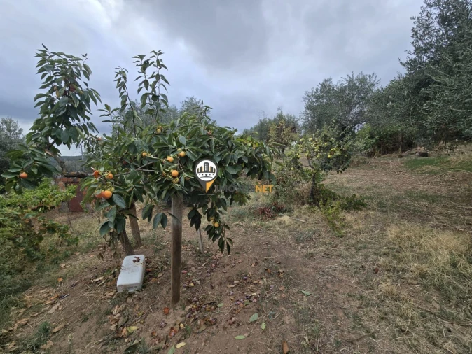 Terreno para Venda em Malpica do Tejo Foto 5