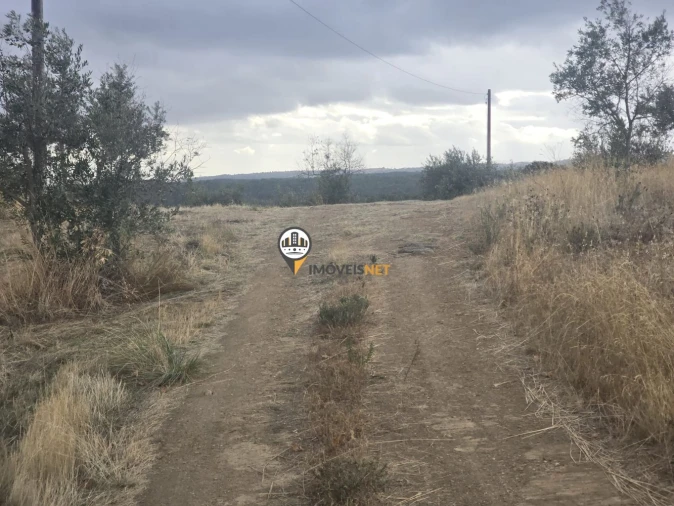 Terreno para Venda em Malpica do Tejo Foto 30