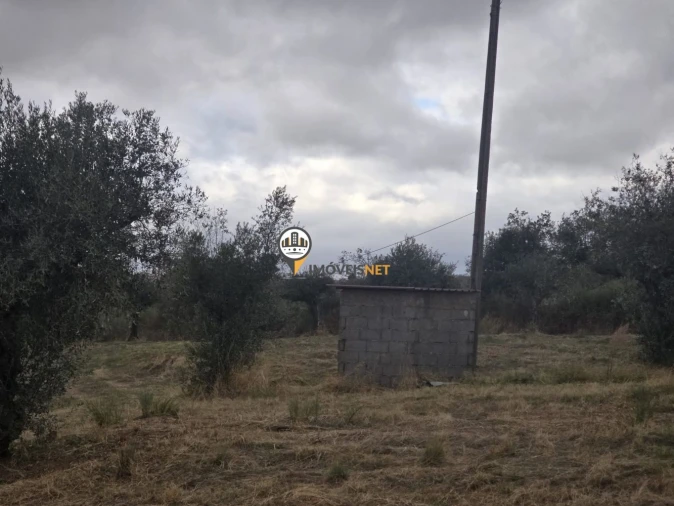 Terreno para Venda em Malpica do Tejo Foto 11