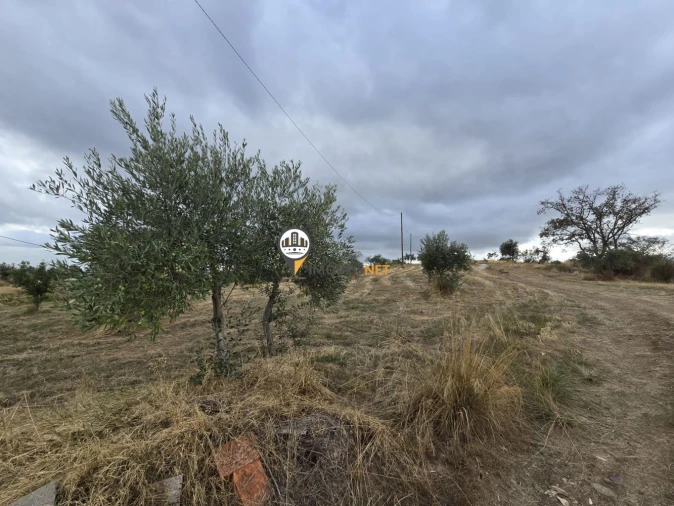 Terreno para Venda em Malpica do Tejo Foto 27