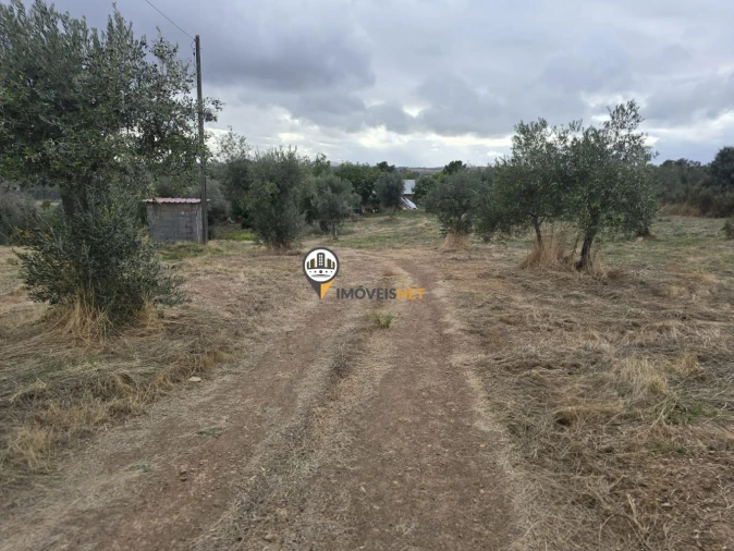 Terreno para Venda em Malpica do Tejo Foto 35