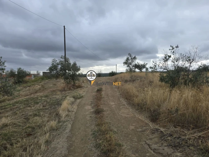 Terreno para Venda em Malpica do Tejo Foto 36