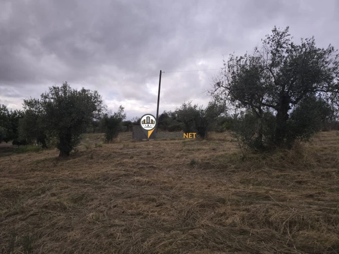 Terreno para Venda em Malpica do Tejo Foto 13