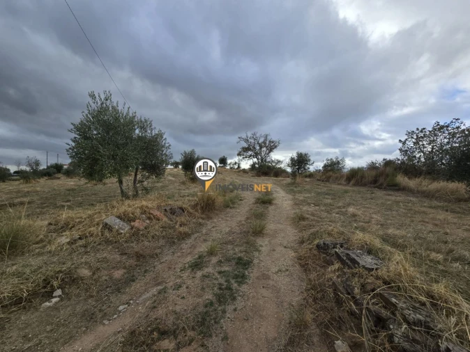 Terreno para Venda em Malpica do Tejo Foto 31