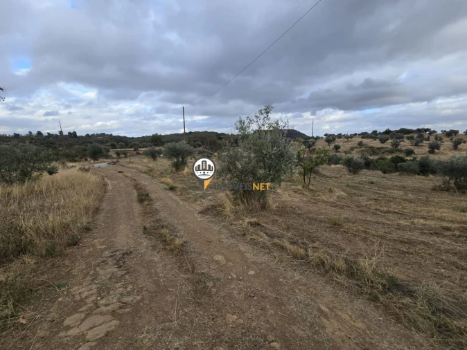 Terreno para Venda em Malpica do Tejo Foto 8