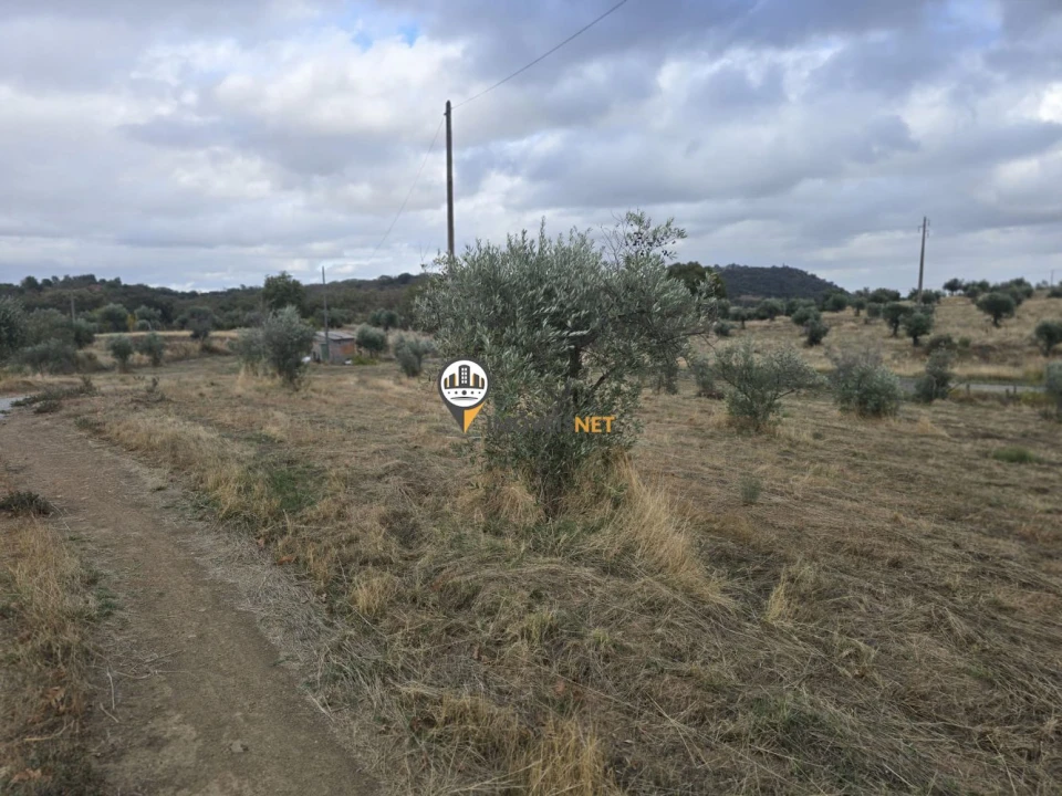 Terreno para Venda em Malpica do Tejo Foto 32