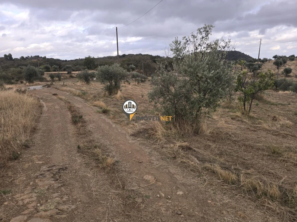 Terreno para Venda em Malpica do Tejo Foto 4