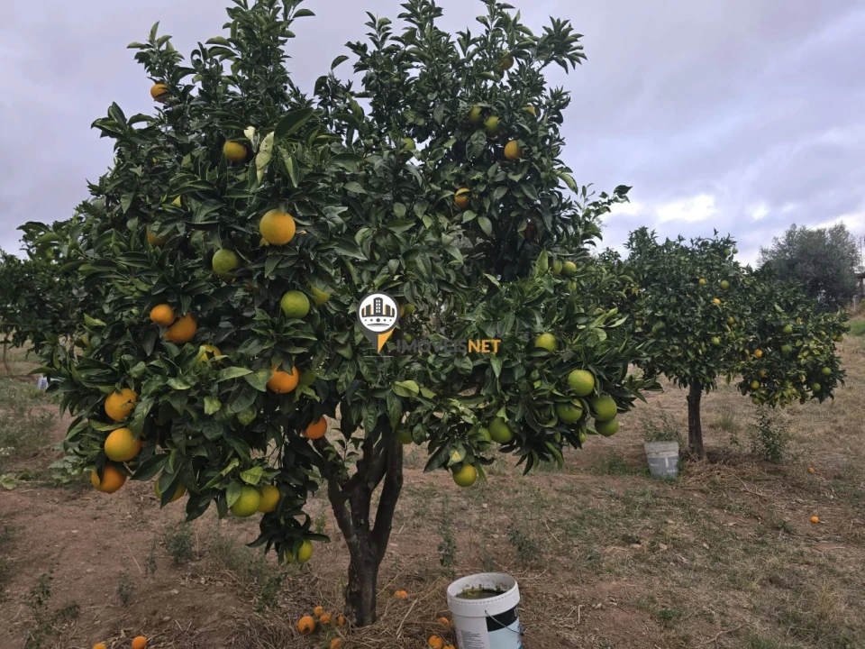 Terreno para Venda em Malpica do Tejo Foto 7
