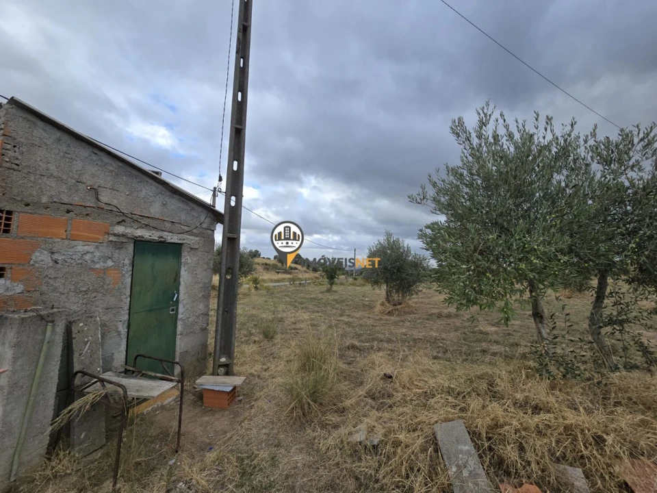 Terreno para Venda em Malpica do Tejo Foto 26