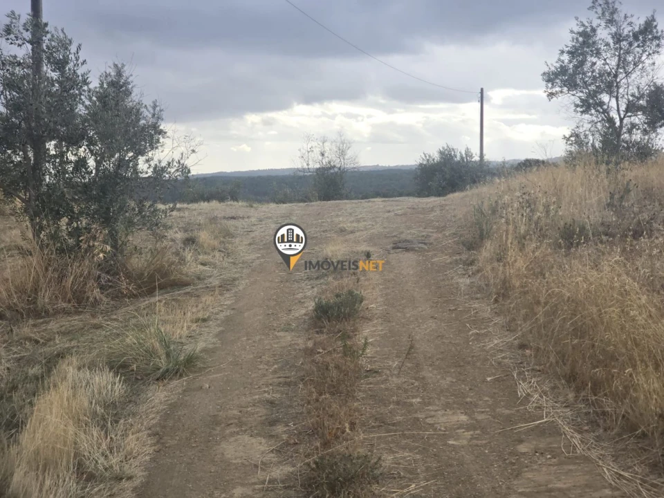 Terreno para Venda em Malpica do Tejo Foto 30