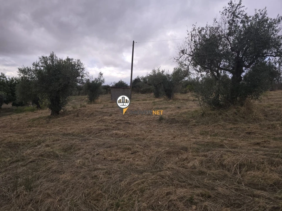 Terreno para Venda em Malpica do Tejo Foto 10