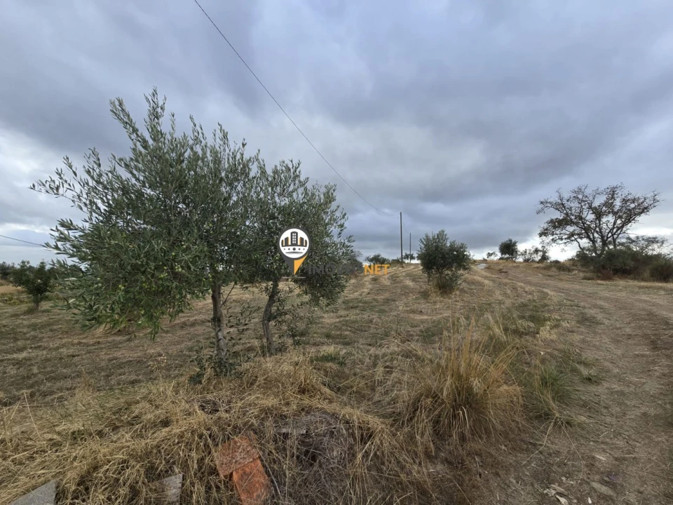 Terreno para Venda em Malpica do Tejo Foto 27