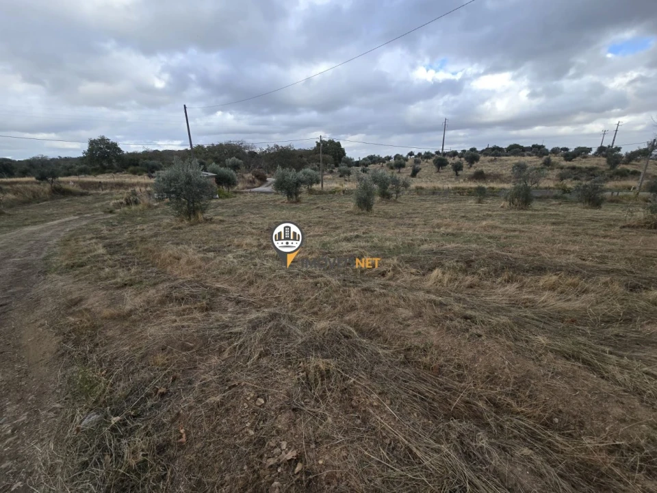 Terreno para Venda em Malpica do Tejo Foto 29