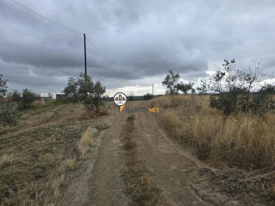 Terreno para Venda em Malpica do Tejo Foto 36