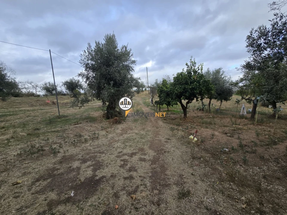 Terreno para Venda em Malpica do Tejo Foto 16