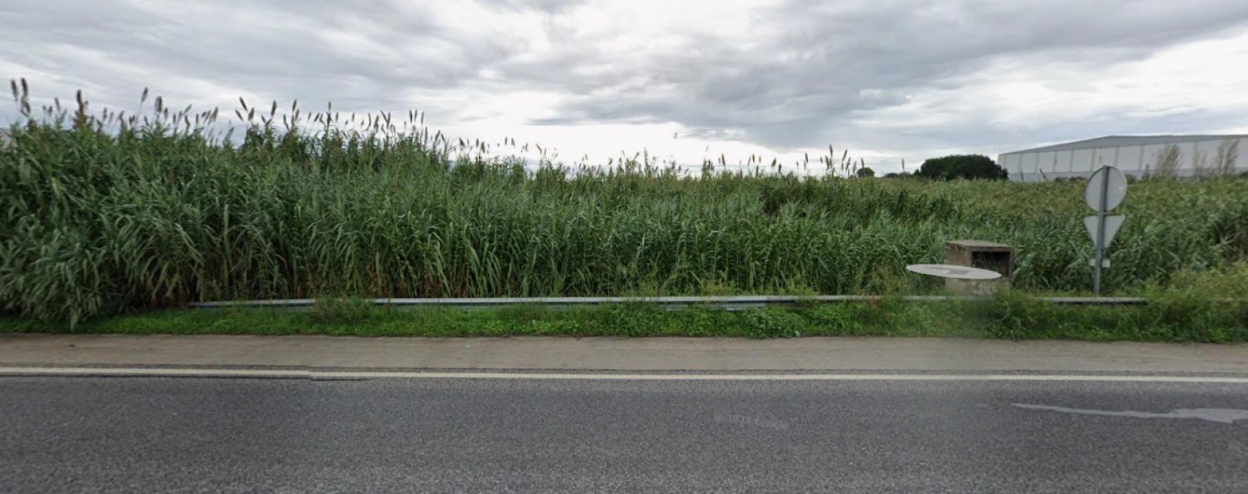 Terreno para Venda em Azambuja Foto 2