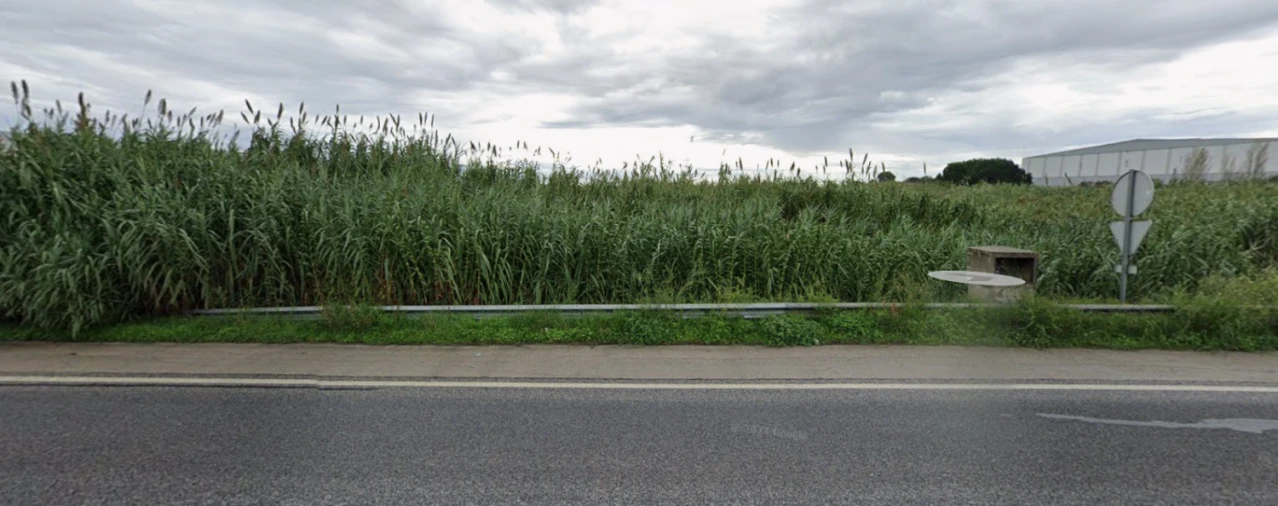 Terreno para Venda em Azambuja Foto 2