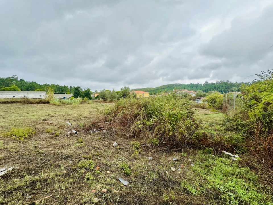 Terreno para Venda em Abrantes (São Vicente e São João) e Alferrarede Foto 9