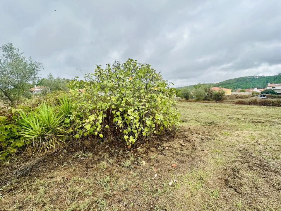 Terreno para Venda em Abrantes (São Vicente e São João) e Alferrarede Foto 14