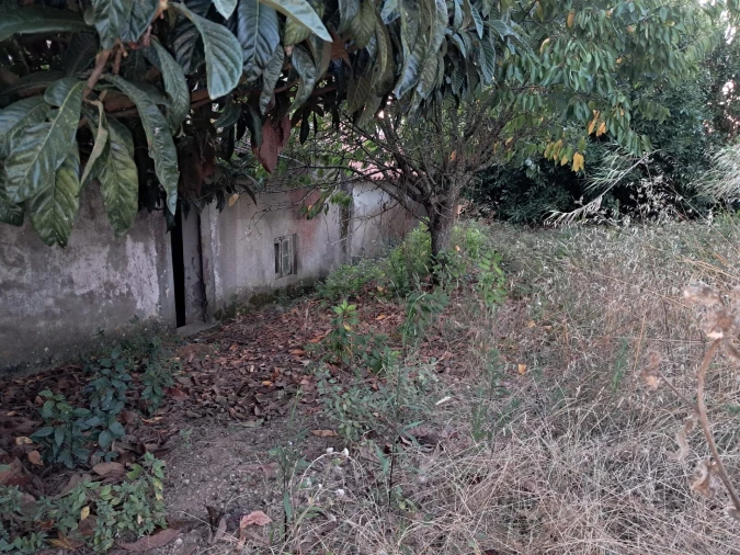 Moradia T3 para Venda em Santa Catarina Foto 9