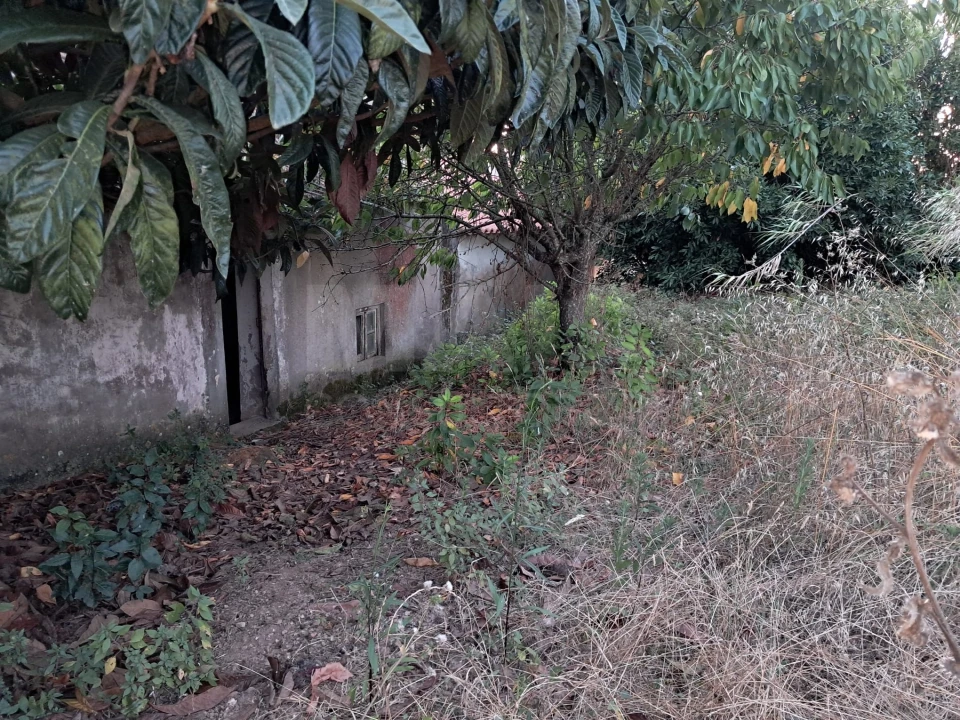 Moradia T3 para Venda em Santa Catarina Foto 9