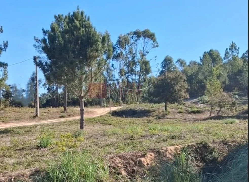 Terreno para Venda em Mafra Foto 2