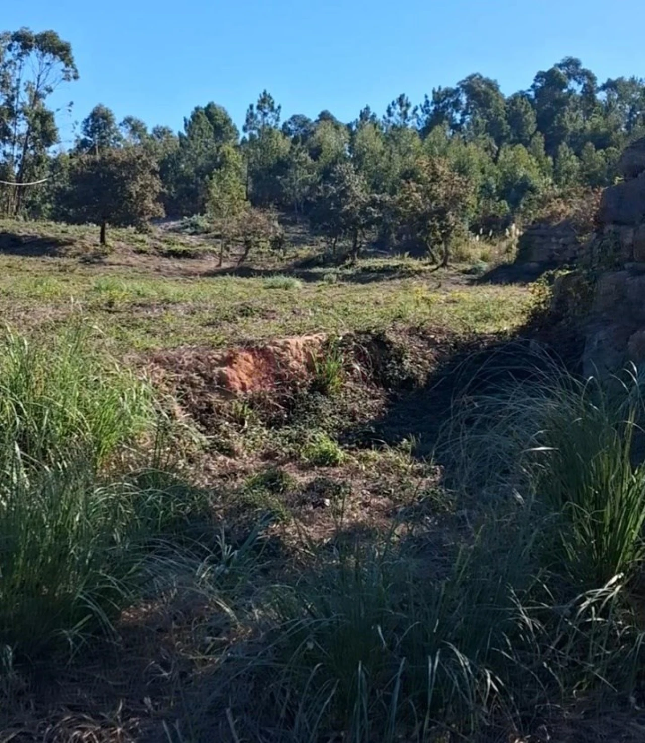 Terreno para Venda em Mafra Foto 3