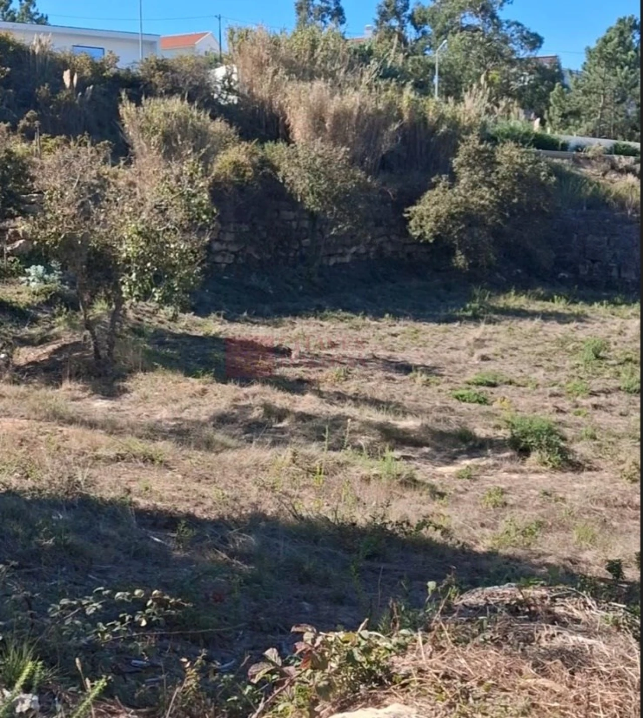 Terreno para Venda em Mafra Foto 5