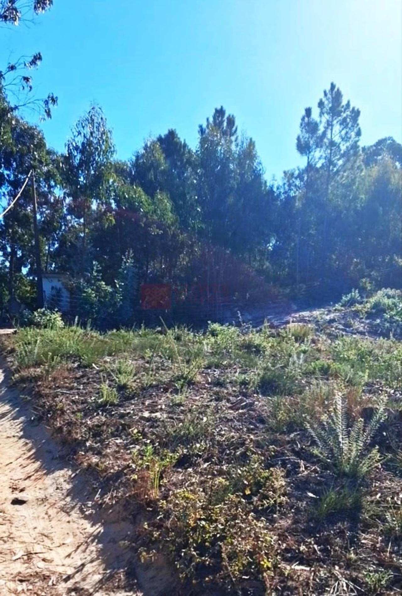 Terreno para Venda em Mafra Foto 6