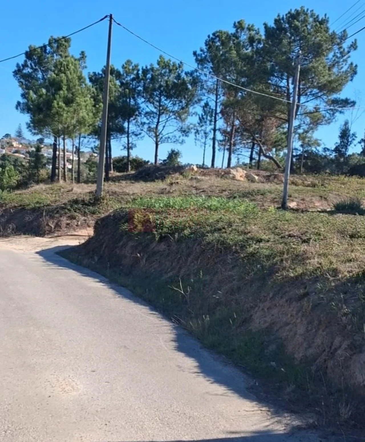 Terreno para Venda em Mafra Foto 10