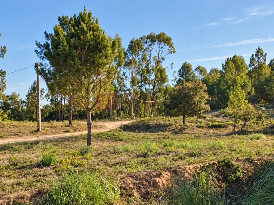 Terreno para Venda em Mafra Foto 2