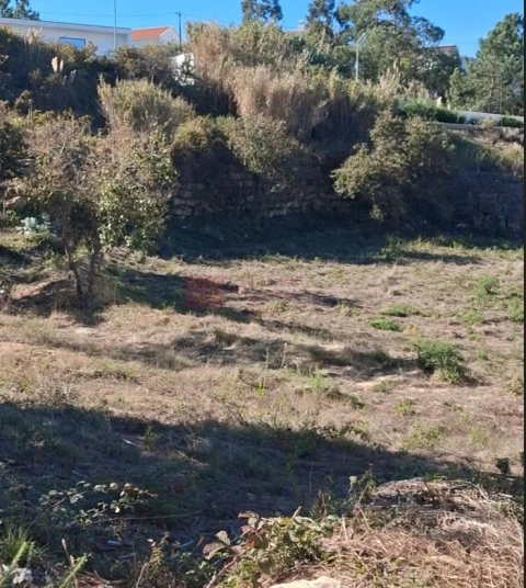 Terreno para Venda em Mafra