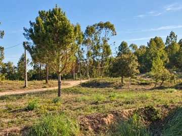 Terreno para Venda em Mafra