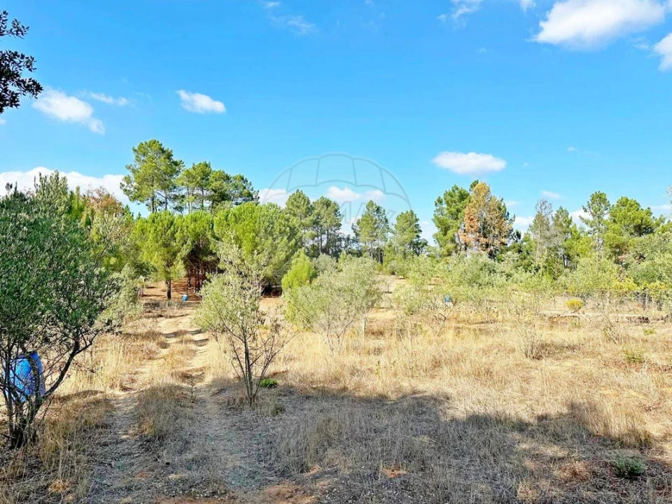 Moradia T2 para Venda em Martinchel Foto 32