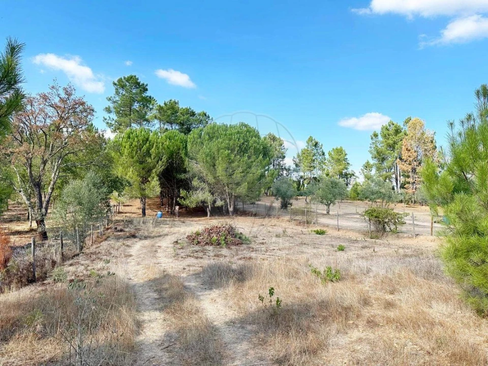 Moradia T2 para Venda em Martinchel Foto 42