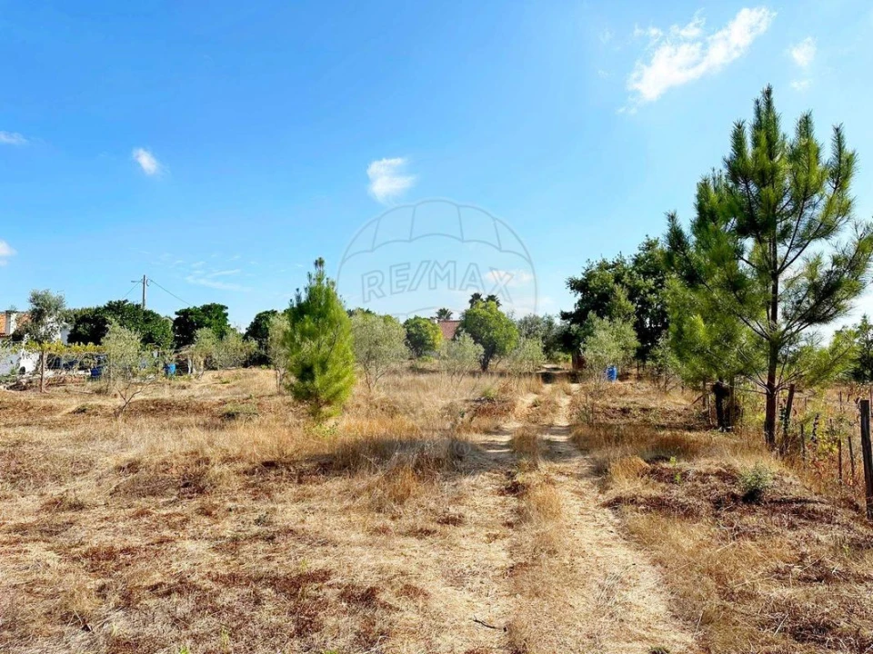 Moradia T2 para Venda em Martinchel Foto 39