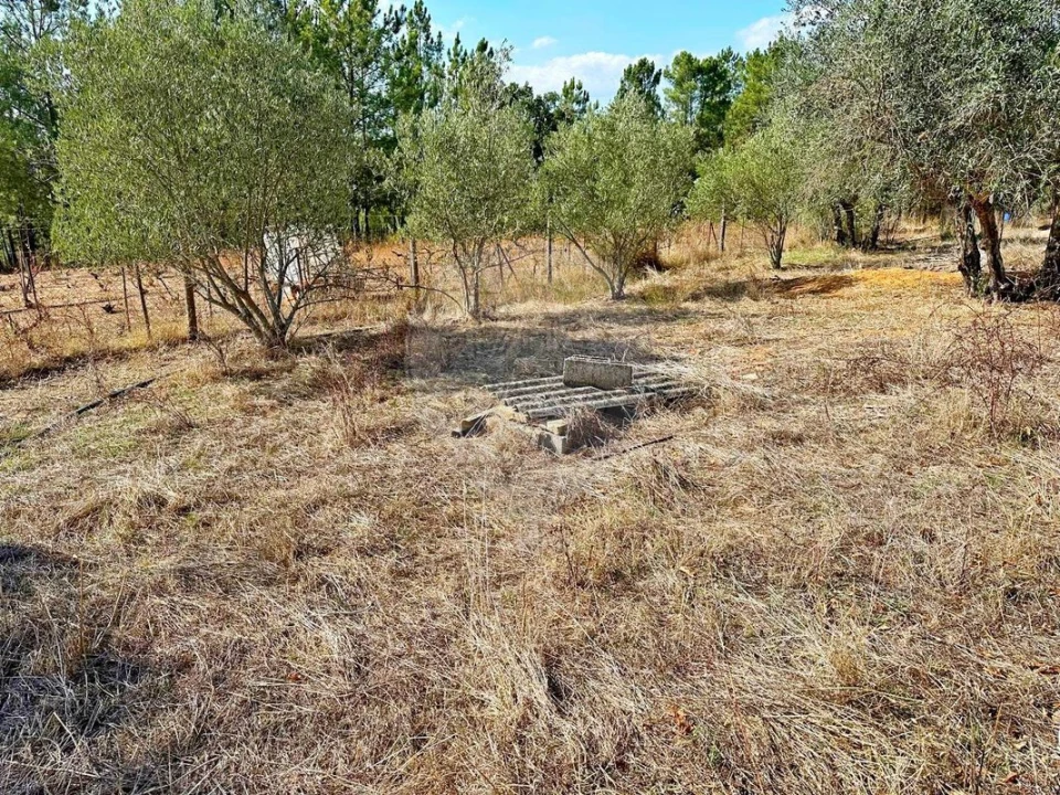 Moradia T2 para Venda em Martinchel Foto 22