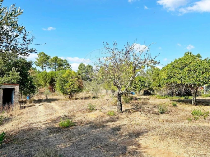 Moradia T2 para Venda em Martinchel Foto 33