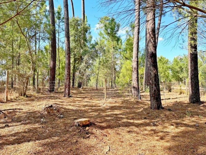 Moradia T2 para Venda em Martinchel Foto 49