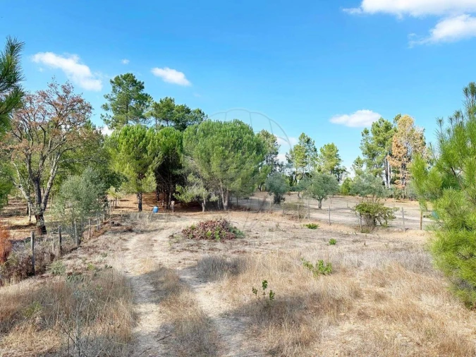 Moradia T2 para Venda em Martinchel Foto 42