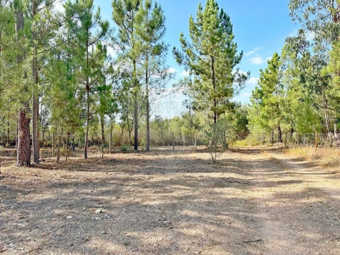 Moradia T2 para Venda em Martinchel Foto 45