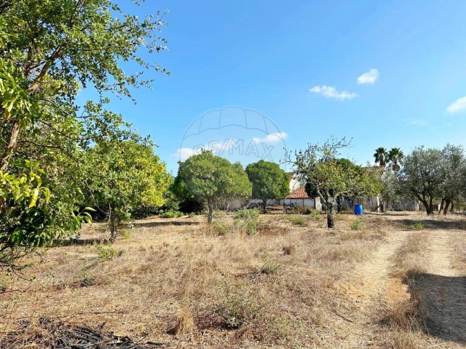 Moradia T2 para Venda em Martinchel Foto 34