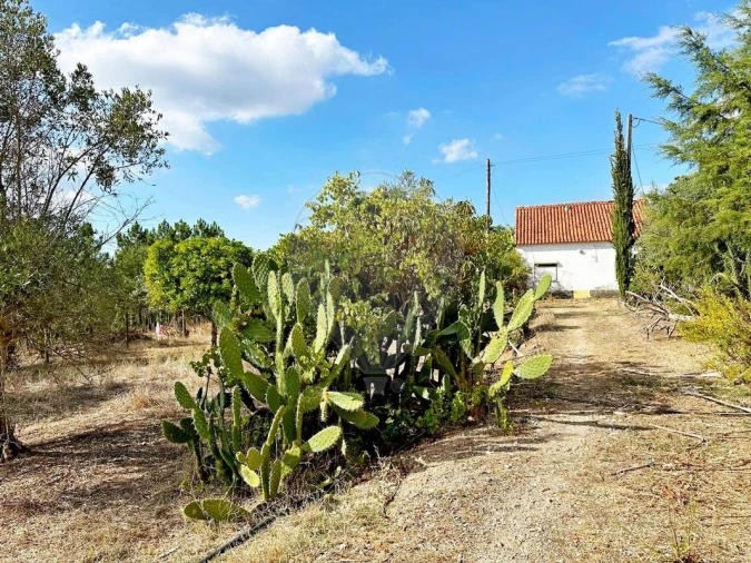 Moradia T2 para Venda em Martinchel Foto 47